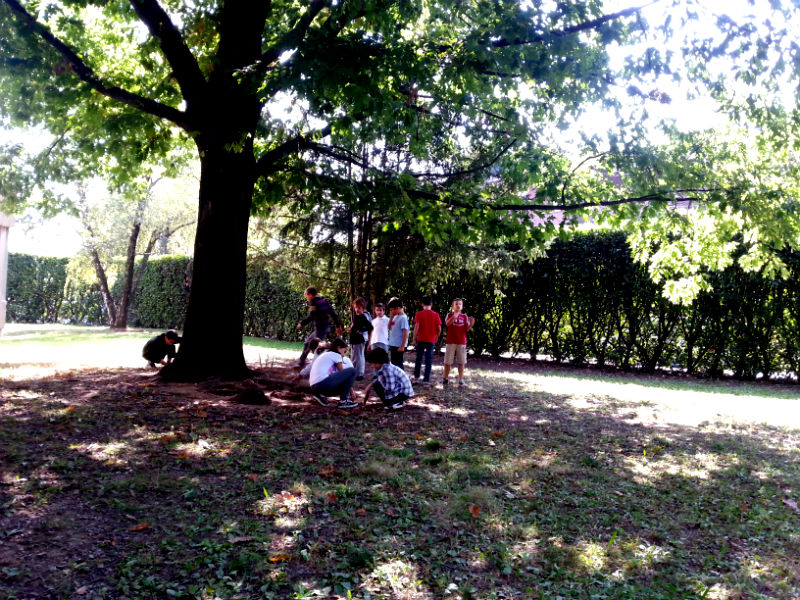 bambini che giocano sotto ad un albero